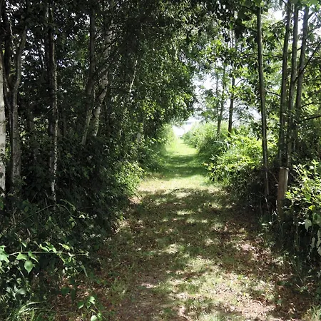 Agritourism, Relaxation In Nature Feriehus Kołczewo