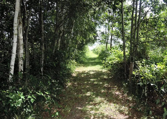 Agritourism, Relaxation In Nature Сasa de vacaciones Kołczewo