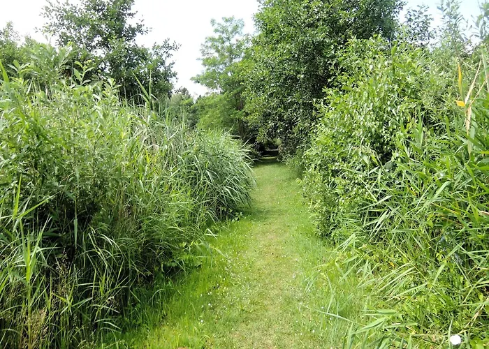 Agritourism, Relaxation In Nature Сasa de vacaciones